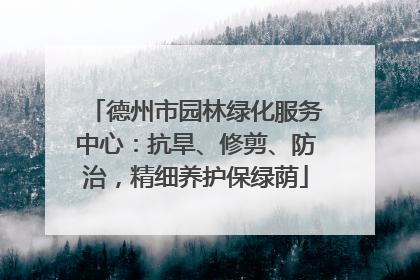德州市园林绿化服务中心：抗旱、修剪、防治，精细养护保绿荫