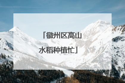 徽州区高山水稻种植忙