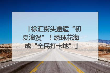徐汇街头邂逅“初夏浪漫”！绣球花海成“全民打卡地”