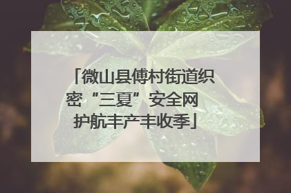 微山县傅村街道织密“三夏”安全网 护航丰产丰收季