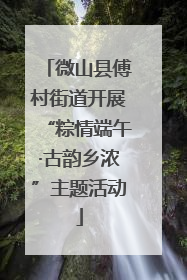 微山县傅村街道开展“粽情端午·古韵乡浓”主题活动