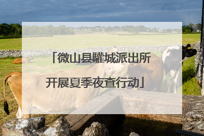 微山县驩城派出所开展夏季夜查行动