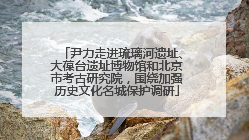 尹力走进琉璃河遗址、大葆台遗址博物馆和北京市考古研究院，围绕加强历史文化名城保护调研