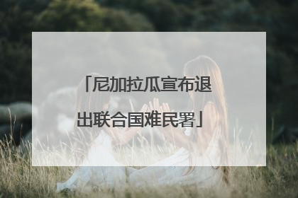 尼加拉瓜宣布退出联合国难民署