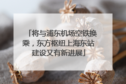 将与浦东机场空铁换乘，东方枢纽上海东站建设又有新进展