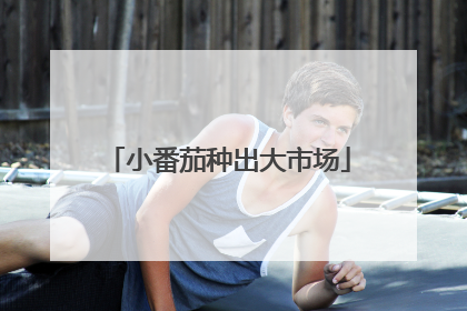 小番茄种出大市场