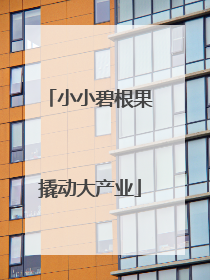 小小碧根果撬动大产业