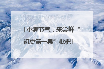 小满节气，来尝鲜“初夏第一果”枇杷