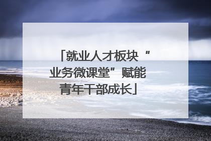 就业人才板块“业务微课堂”赋能青年干部成长