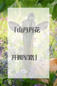 山丹丹花开拥军路