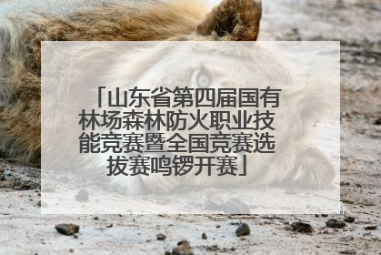 山东省第四届国有林场森林防火职业技能竞赛暨全国竞赛选拔赛鸣锣开赛