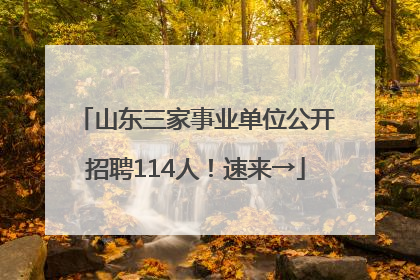 山东三家事业单位公开招聘114人！速来→