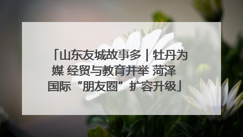 山东友城故事多｜牡丹为媒 经贸与教育并举 菏泽国际“朋友圈”扩容升级