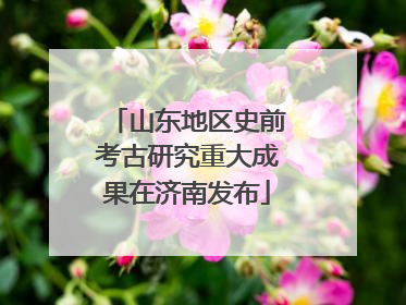 山东地区史前考古研究重大成果在济南发布
