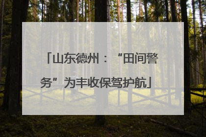 山东德州：“田间警务”为丰收保驾护航