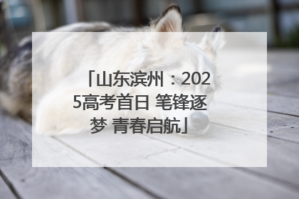 山东滨州：2025高考首日 笔锋逐梦 青春启航