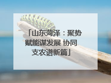 山东菏泽：聚势赋能谋发展 协同支农谱新篇
