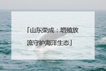 山东荣成：增殖放流守护海洋生态
