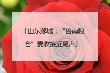 山东郯城：“鲁南粮仓”麦收接近尾声
