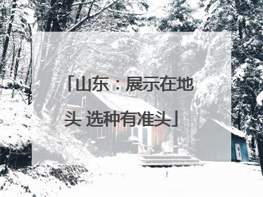 山东：展示在地头 选种有准头