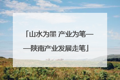 山水为墨 产业为笔——陕南产业发展走笔