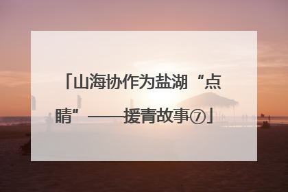 山海协作为盐湖“点睛”——援青故事⑦