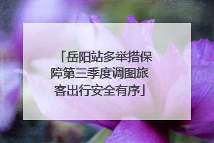 岳阳站多举措保障第三季度调图旅客出行安全有序