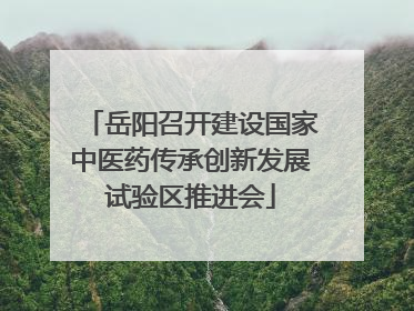 岳阳召开建设国家中医药传承创新发展试验区推进会