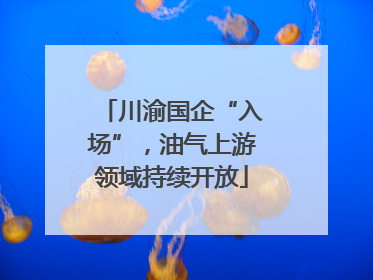 川渝国企“入场”，油气上游领域持续开放
