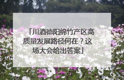 川酒德阳绵竹产区高质量发展路径何在？这场大会给出答案