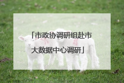 市政协调研组赴市大数据中心调研