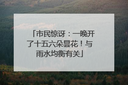 市民惊讶：一晚开了十五六朵昙花！与雨水均衡有关