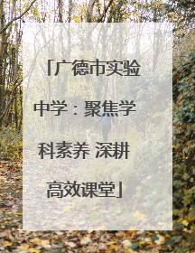 广德市实验中学：聚焦学科素养 深耕高效课堂