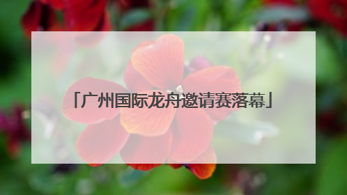 广州国际龙舟邀请赛落幕