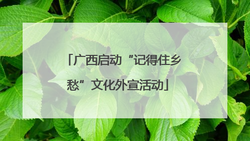 广西启动“记得住乡愁”文化外宣活动