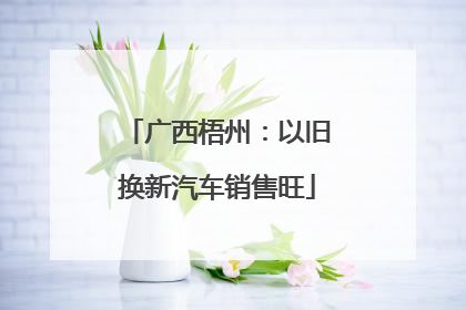 广西梧州：以旧换新汽车销售旺