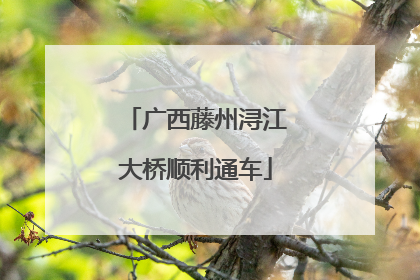 广西藤州浔江大桥顺利通车