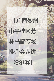 广西贺州市平桂区芳林马蹄专场推介会走进哈尔滨