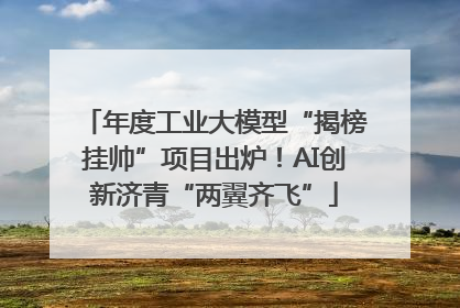 年度工业大模型“揭榜挂帅”项目出炉！AI创新济青“两翼齐飞”