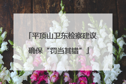 平顶山卫东检察建议确保“罚当其错”