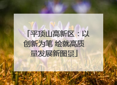 平顶山高新区：以创新为笔 绘就高质量发展新图景