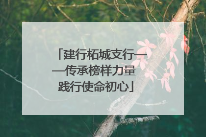 建行柘城支行——传承榜样力量 践行使命初心