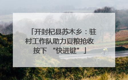 开封杞县苏木乡：驻村工作队助力夏粮抢收按下 “快进键”