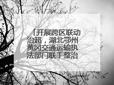 开展跨区联动治超，湖北鄂州黄冈交通运输执法部门联手整治“百吨王”