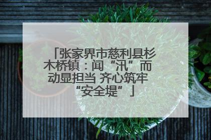张家界市慈利县杉木桥镇：闻“汛”而动显担当 齐心筑牢“安全堤”