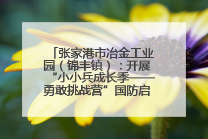 张家港市冶金工业园（锦丰镇）：开展“小小兵成长季——勇敢挑战营”国防启蒙教育活动