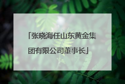 张晓海任山东黄金集团有限公司董事长