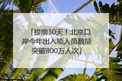 提前30天！北京口岸今年出入境人员数量突破800万人次