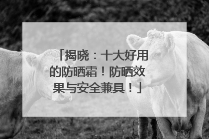 揭晓：十大好用的防晒霜！防晒效果与安全兼具！