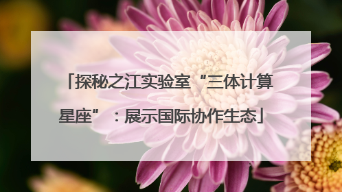 探秘之江实验室“三体计算星座”：展示国际协作生态